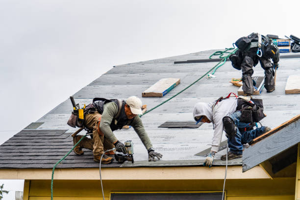 Professional Roofing technician working in Essex, IA